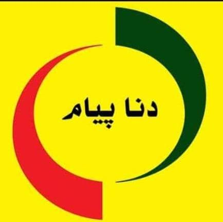 عکس پروفایل دنا پیام